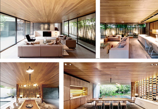 mái nhà phủ cây xanh hồ nước