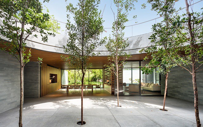 mái nhà phủ cây xanh hồ nước